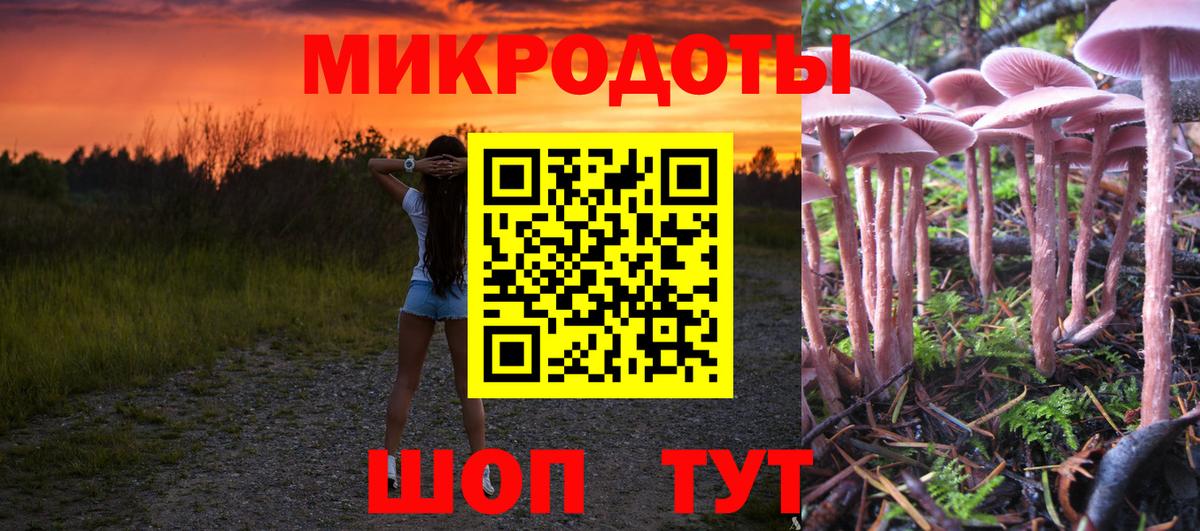 Туапсе  Псилоцибиновые грибы MAGIC MUSHROOMS  Вход с VPN 
