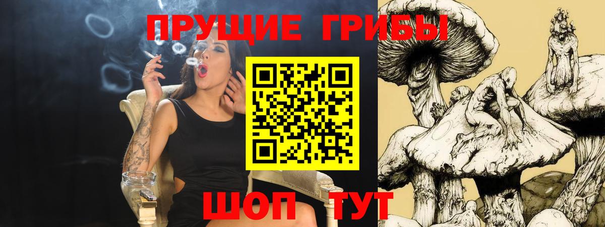 Псилоцибиновые грибы Psilocybine cubensis Туапсе